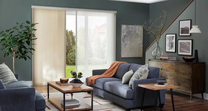 Honeycomb Cellular Vertical Shades in Living Area