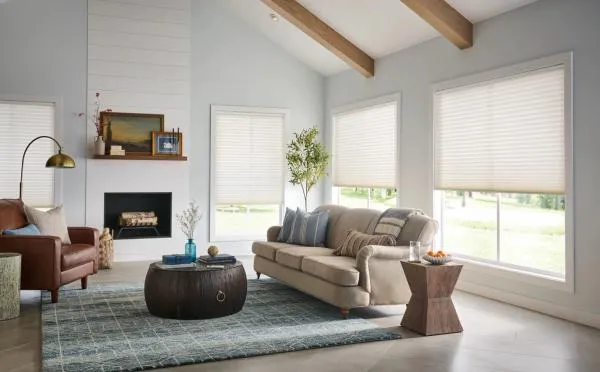 Automated Cellular Shades in Living Room