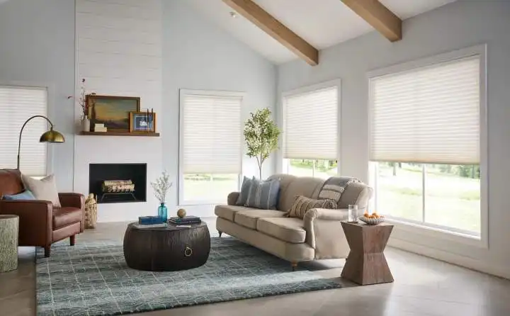 Automated Cellular Shades in Living Room